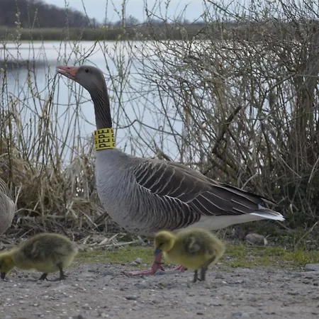 Mona Lisa Wellness&spa Hotel 3*